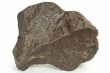 Chondrite Meteorite ( g) - Western Sahara Desert #232954-2